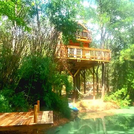 Waterfront Treehouse In A Magical Forest Waller Exterior foto